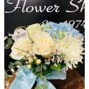 A Little Bundle of Joy