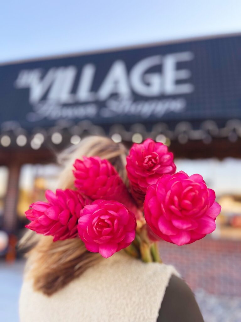 5-buck Friday | The Village Flower Shoppe