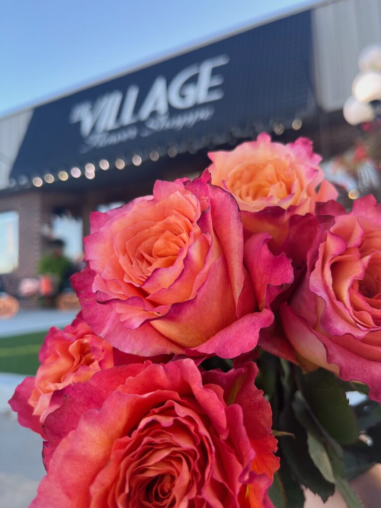 5-buck Friday | The Village Flower Shoppe